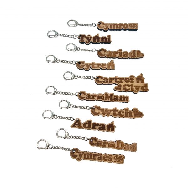 Cylch Allwedi Testun