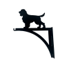 Braced Basged Blodau Ci Spaniel